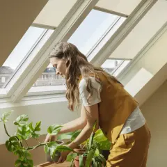 Donna cura piante sotto lucernari inclinati, un'idea per sfruttare spazi con potenziali svantaggi di cappotto interno.