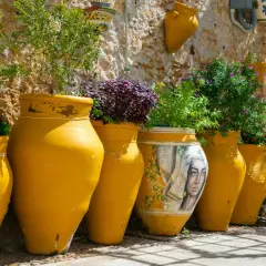 Vasi gialli dipinti e grezzi, alcuni con piante rigogliose, raccontano la storia della ceramica in un vicolo soleggiato.