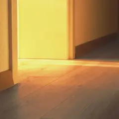 Un raggio di sole illumina un pavimento in legno, creando aloni sul pavimento dopo aver lavato.