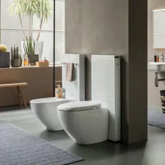 Bagno moderno con bidet e WC sospesi, idee bagno piccolo con piante e panca in legno.