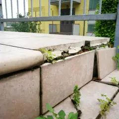 Piante spuntano tra le fessure di un pavimento sollevato, segno del tempo e della natura che si riprende i suoi spazi.