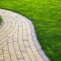 Un vialetto carrabile economico in pavé curvo, fiancheggiato da un prato verde brillante e vegetazione rigogliosa.
