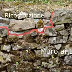 Ricostruzione di un muretto a secco antico, con pietre grezze e malta fresca che segna il confine tra vecchio e nuovo.
