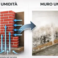 Illustrazione delle cause di umidità nei muri, con frecce che mostrano l'acqua dal terreno che risale. Utile per idee per coprire un muro interno rovinato.