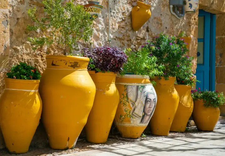 Vasi gialli dipinti e grezzi, alcuni con piante rigogliose, raccontano la storia della ceramica in un vicolo soleggiato.