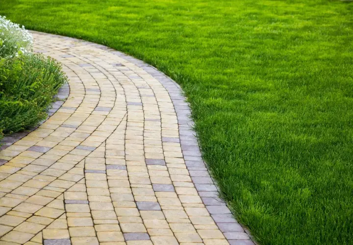 Un vialetto carrabile economico in pavé curvo, fiancheggiato da un prato verde brillante e vegetazione rigogliosa.