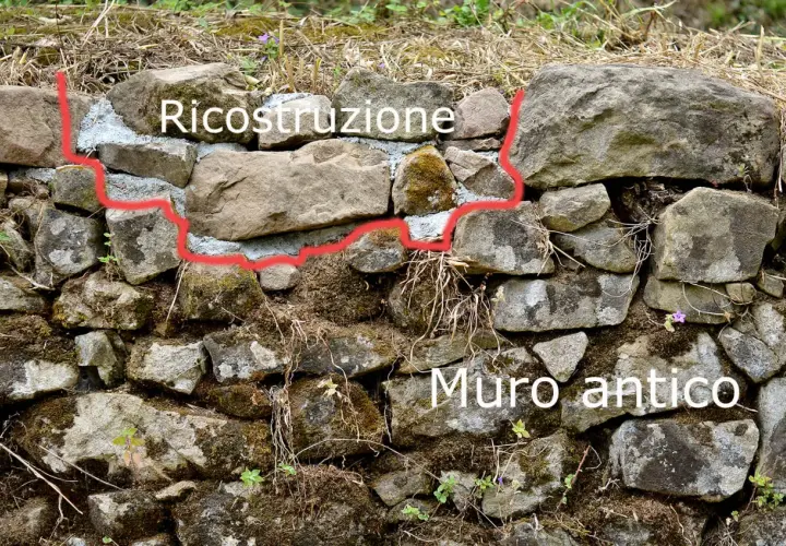 Ricostruzione di un muretto a secco antico, con pietre grezze e malta fresca che segna il confine tra vecchio e nuovo.