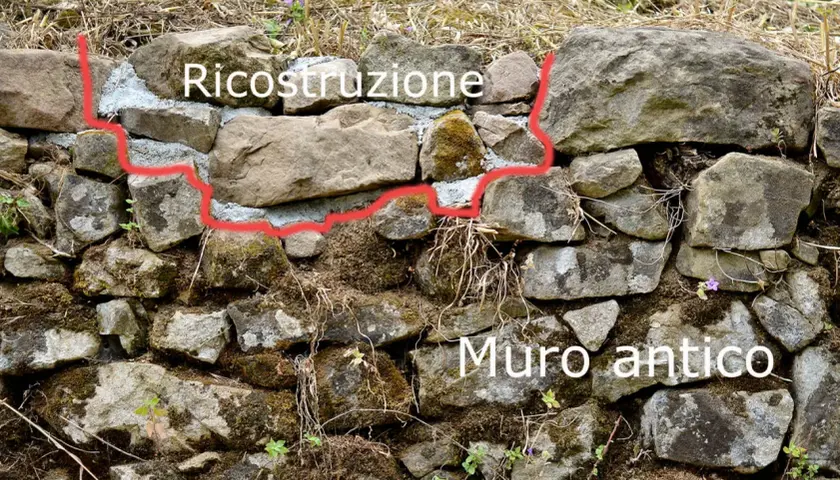 Ricostruzione di un muretto a secco antico, con pietre grezze e malta fresca che segna il confine tra vecchio e nuovo.