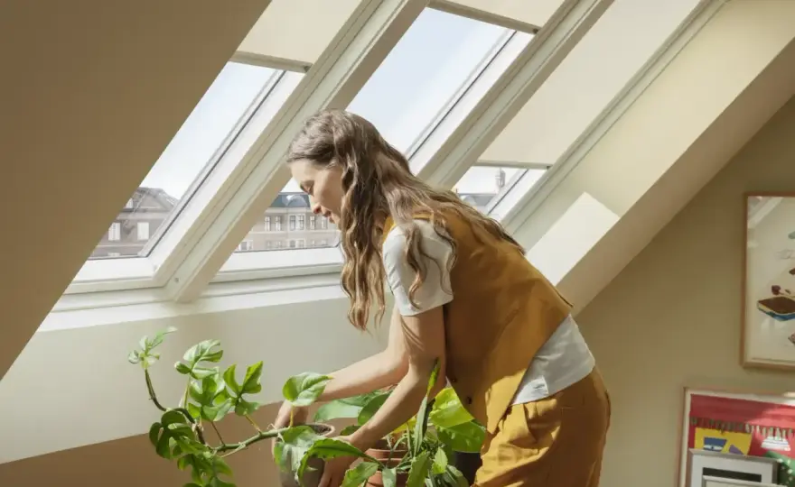 Isolamento interno - Guida completa: errori, costi, soluzioni