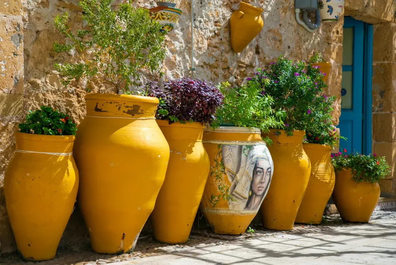 Vasi gialli dipinti e grezzi, alcuni con piante rigogliose, raccontano la storia della ceramica in un vicolo soleggiato.