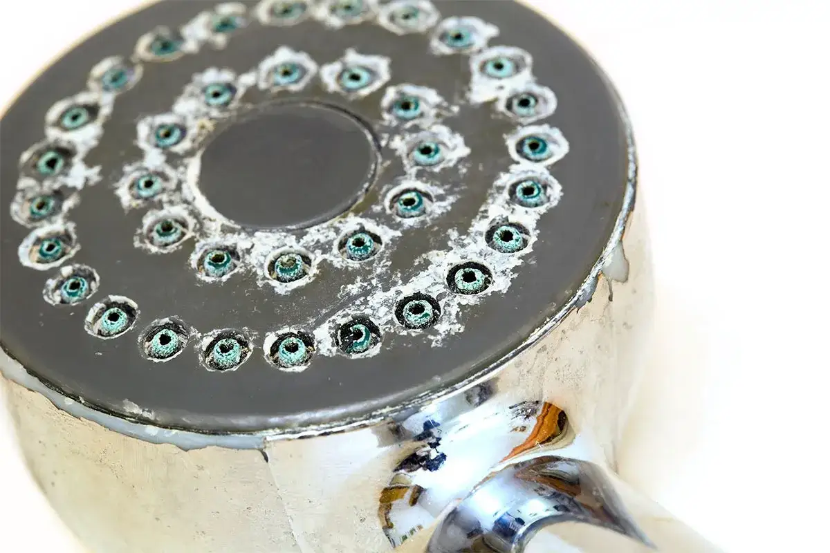 Soffione doccia incrostato di calcare. Scopri come togliere il calcare dalle piastrelle della doccia e ripristinare la brillantezza.