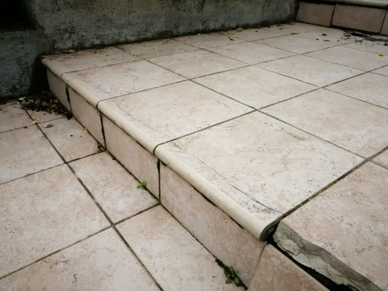 Pavimento sollevato con crepe e erbacce che spuntano tra le piastrelle.
